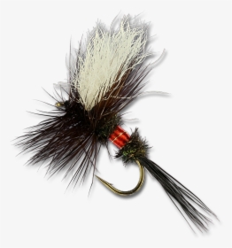 Royal Wulff - Royal Wulff Png, Transparent Png, Free Download