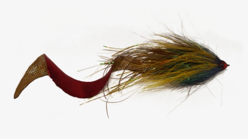 Flies June 2019 1[1], HD Png Download, Free Download