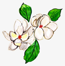 Magnolia, HD Png Download, Free Download