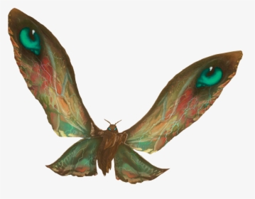 Landon Avery - Mothra Png, Transparent Png, Free Download
