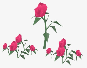 Old School Runescape Wiki - Garden Roses, HD Png Download, Free Download