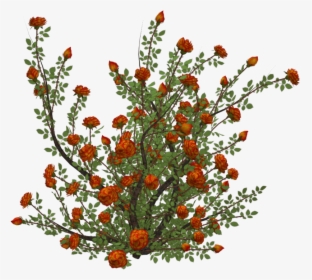 #flowers #roses #rosebush #bush - Orange Flower Bush Png, Transparent Png, Free Download