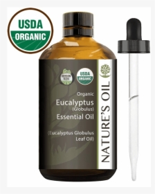 Organic Eucalyptus Essential Oil - Usda Organic, HD Png Download, Free Download