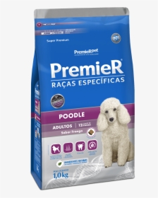 Premier Raças Especificas Poodle, HD Png Download, Free Download