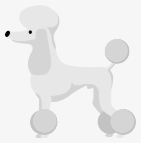 Miniature Poodle, HD Png Download, Free Download
