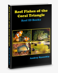 Coral Triangle Tropical Fish Guide, HD Png Download, Free Download