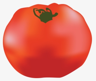 Popular Tomato Guide Part, HD Png Download, Free Download