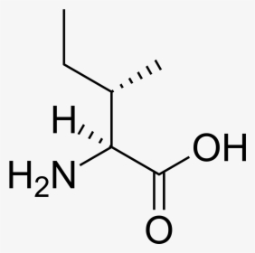 Selenocysteine R Or S, HD Png Download, Free Download