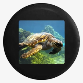 Colorful Sea Turtle Swimming In Ocean Coral Reef Jeep - Turtle, HD Png Download, Free Download