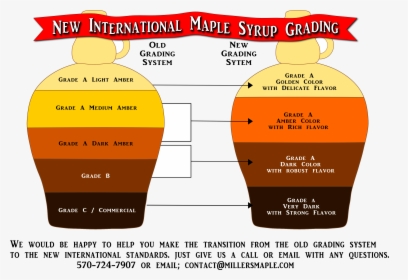 Maple Syrup Png, Transparent Png, Free Download