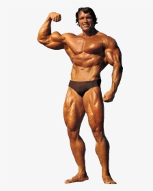 Thumb Image - Arnold Schwarzenegger Bodybuilding Png, Transparent Png, Free Download