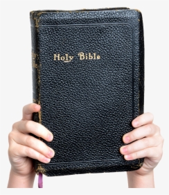 Hands Holding Up The Bible - Copyright Free Images Of Bible, HD Png Download, Free Download