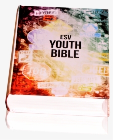 Psbesv Youth Bible - Flyer, HD Png Download, Free Download