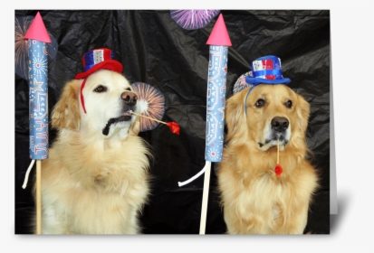 Fireworks For The Fourth Greeting Card - Golden Retriever, HD Png Download, Free Download