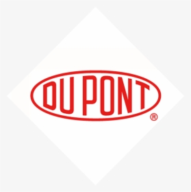 Pioneer"s Ability To Take The Complex Statistical Analysis - Dupont Nutrition And Health, HD Png Download, Free Download