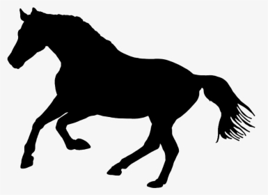 Black Silhouette Of Horse In Nature - Black And White Horse Logo, HD Png Download, Free Download