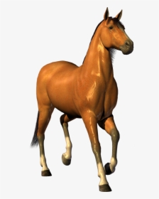 Horse Png Free Image Download - Horse Clip Art On Transparent Background, Png Download, Free Download