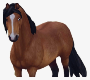 Transparent Star Stable Horse Hd Png Download Kindpng - high hopes stables roblox