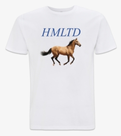Horse - Hmltd Tshirt, HD Png Download, Free Download