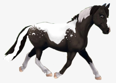 #sso #horse #blackandwhite - Sso Horse Png, Transparent Png, Free Download