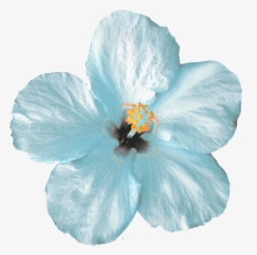 Mint Flower Png, Transparent Png, Free Download