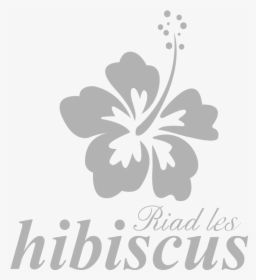 Car Stickers Hibiscus Flower Sticker , Png Download - Corner Black And White Flower Border, Transparent Png, Free Download