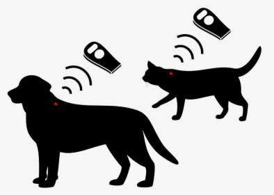 Pet Microchip Png, Transparent Png, Free Download