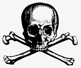 Skull And Crossbone Clipart Webweaver - Skull And Crossbones Drawing Png, Transparent Png, Free Download