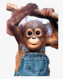 #monkey #babymonkey #freetoedit - Orang Utan Baby, HD Png Download, Free Download