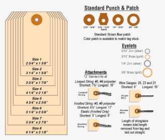 Circle, HD Png Download, Free Download