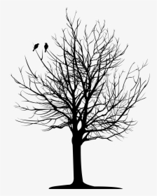 Drawing Dark Tree Transparent Png Clipart Free Download - Bare Tree, Png Download, Free Download