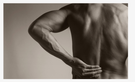 Knock Out Low Back Pain, HD Png Download, Free Download