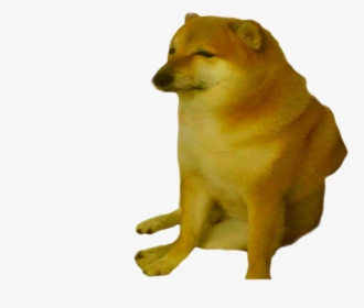 Cheems Doge, HD Png Download, Free Download