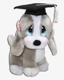 Graduation Sad Sam And Honey Basset Hounds - Sam Graduation Dog, HD Png Download, Free Download