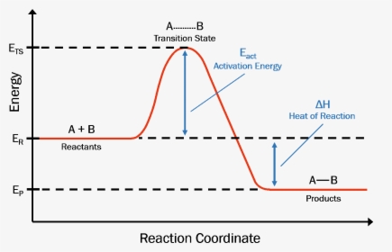 Reaction Coordinate Diagram - Reaction Coordinate Activation Energy, HD Png Download, Free Download