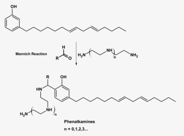 Phenalkamine Structure, HD Png Download, Free Download