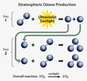 Chemical Process Of Ozone Depletion, HD Png Download, Free Download