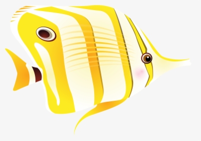 Sea Fish Adaptations, HD Png Download, Free Download