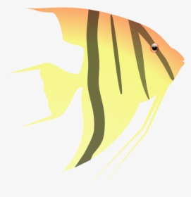 Art,fin,fish - Angel Fish Cartoon, HD Png Download, Free Download