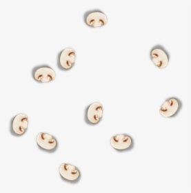 Button, HD Png Download, Free Download