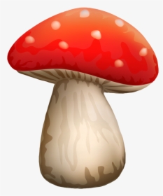 Mushroom Clipart White Dot - Mushroom Clipart Png, Transparent Png, Free Download