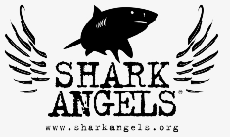 Shark Angels Logo, HD Png Download, Free Download