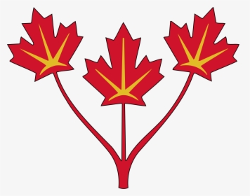 Three Maple Leaves Of Canada - Three Maple Leaf Flag, HD Png Download, Free Download