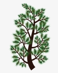 Free Clipart Of A Pine Tree Branch - Pine Treebranch Clipart, HD Png Download, Free Download