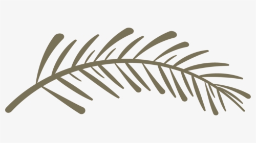 Spiritwood-pinebranch - Twig, HD Png Download, Free Download
