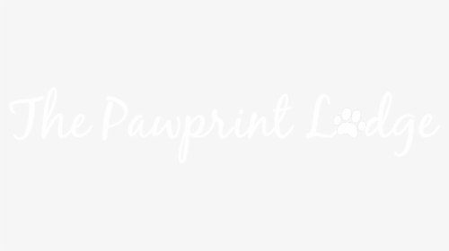 Cat Paw Print Png, Transparent Png, Free Download