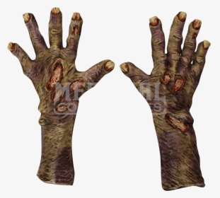 Zombie Hand Png Image - Zombie Hands Transparent Background, Png Download, Free Download