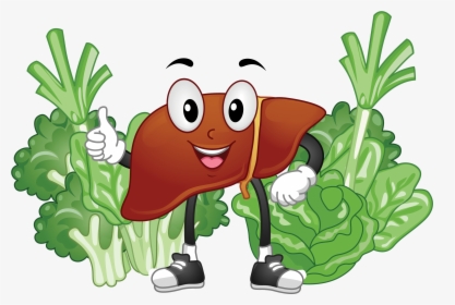Liver Food Clipart, HD Png Download, Free Download
