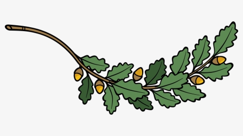 Plant,flower,leaf - Clip Art Oak Leaf Branch, HD Png Download, Free Download