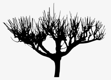 Tree Silhouette 2 - Silhouette, HD Png Download, Free Download